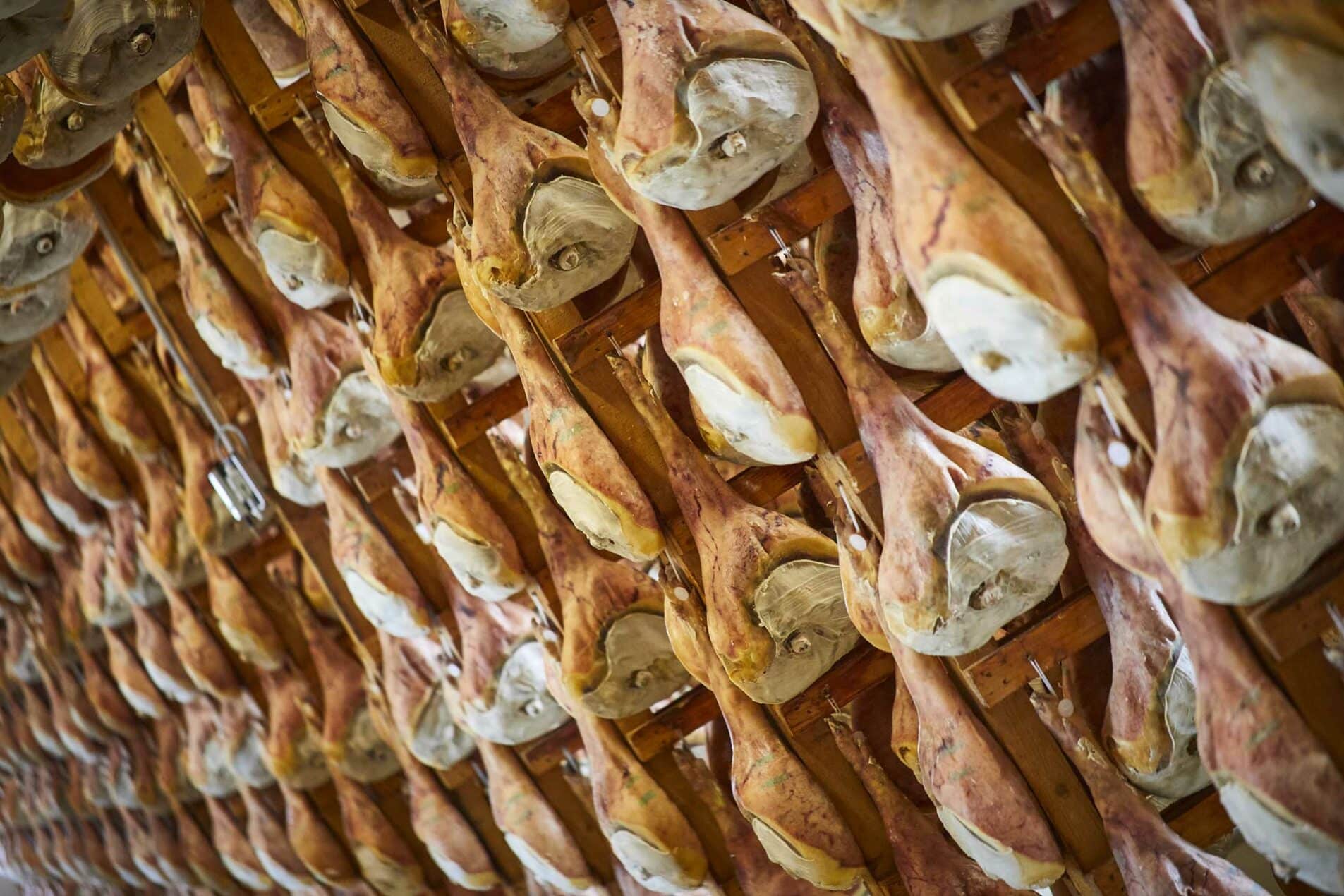 The first stages of the production of Prosciutto di San Daniele