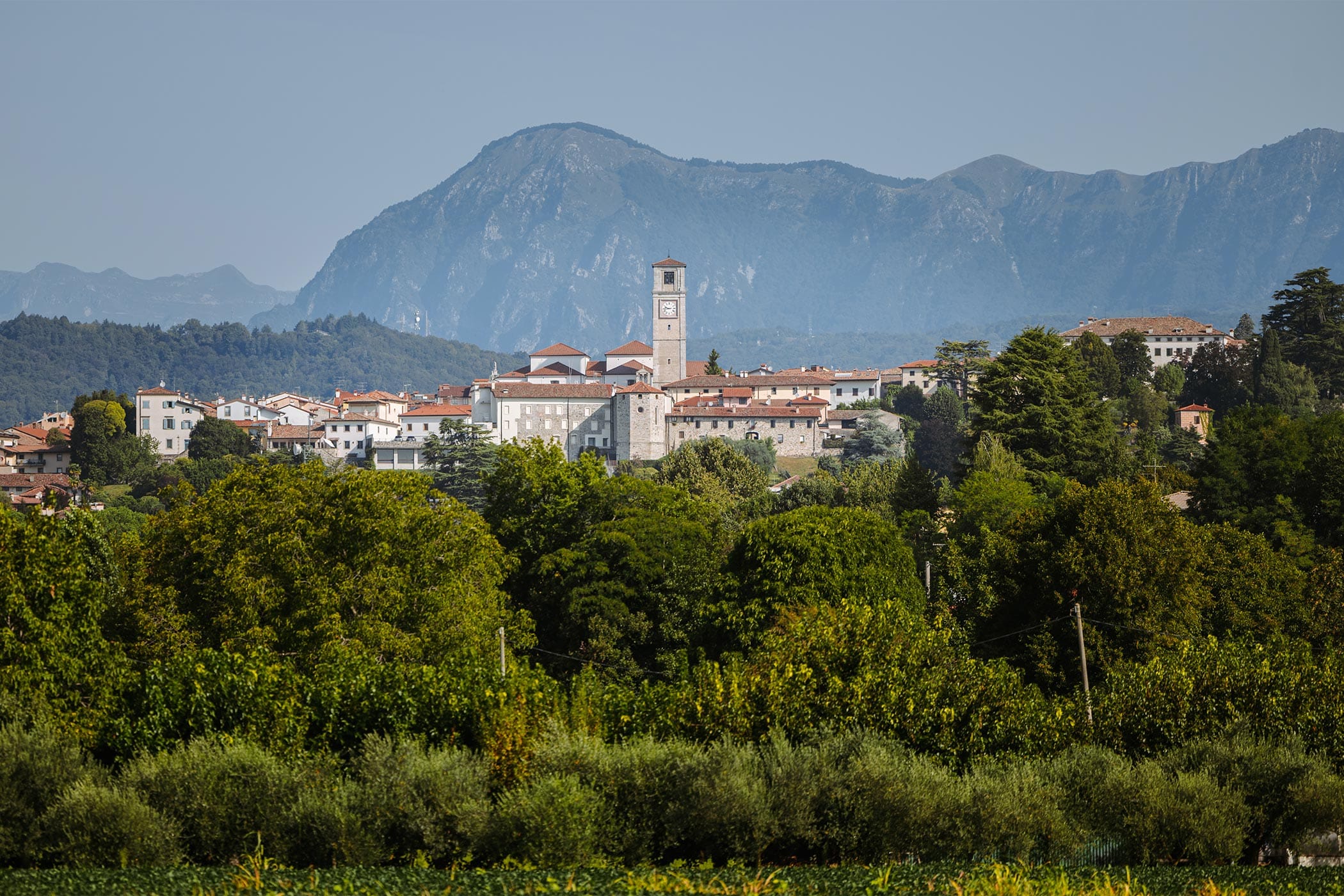 Il microclima di San Daniele del Friuli