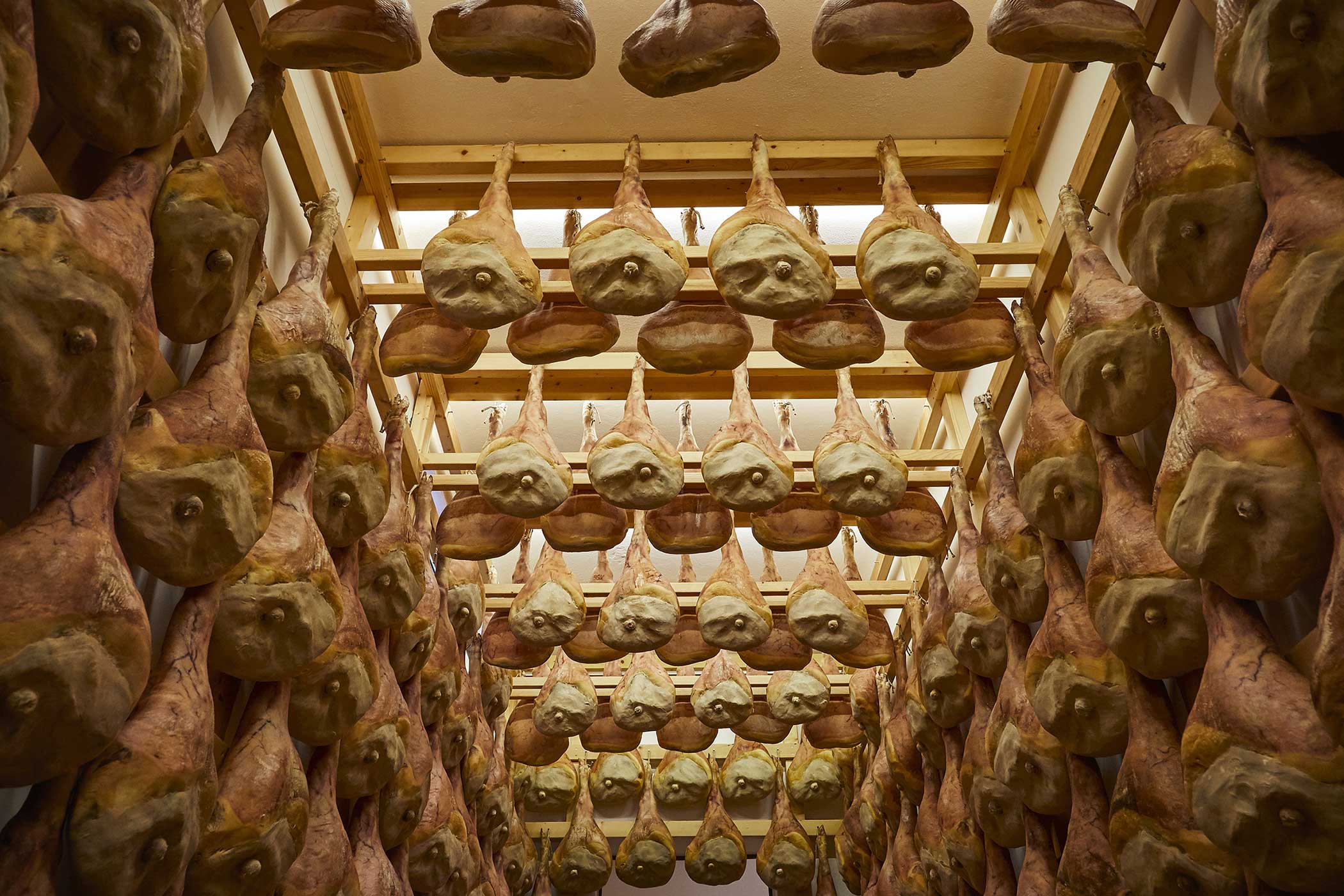 Le materie prime del Prosciutto di San Daniele