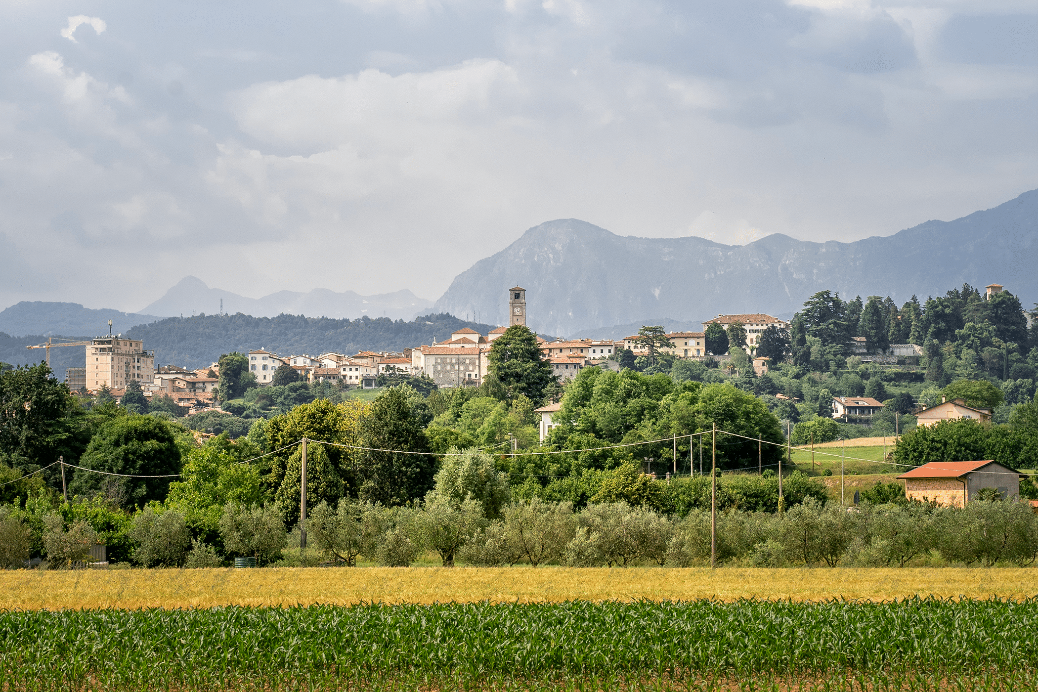 Giornata mondiale del vento