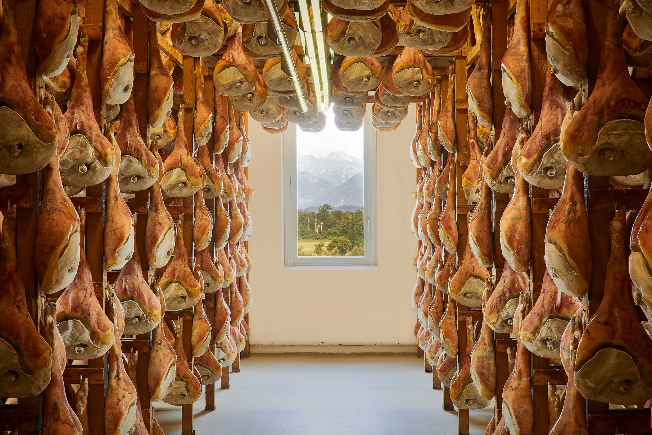 il territorio di San Daniele del Friuli dispone di un microclima unico, indispensabile per la stagionatura del Prosciutto di San Daniele