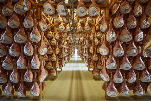 Salone di stagionatura con numerosi Prosciutto di San Daniele appesi a stagionare