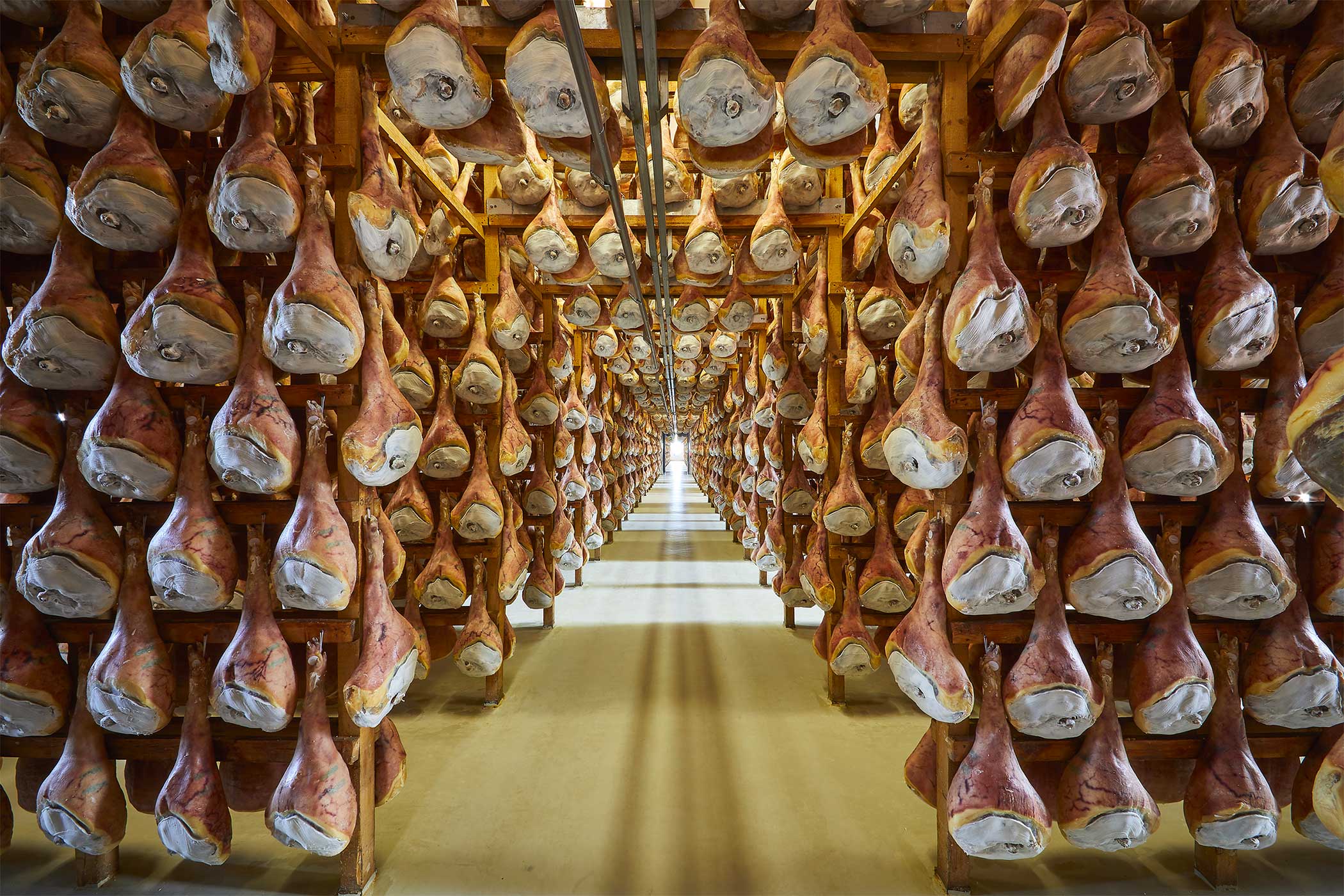 Salone di stagionatura con numerosi Prosciutto di San Daniele appesi a stagionare