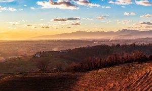 Collio