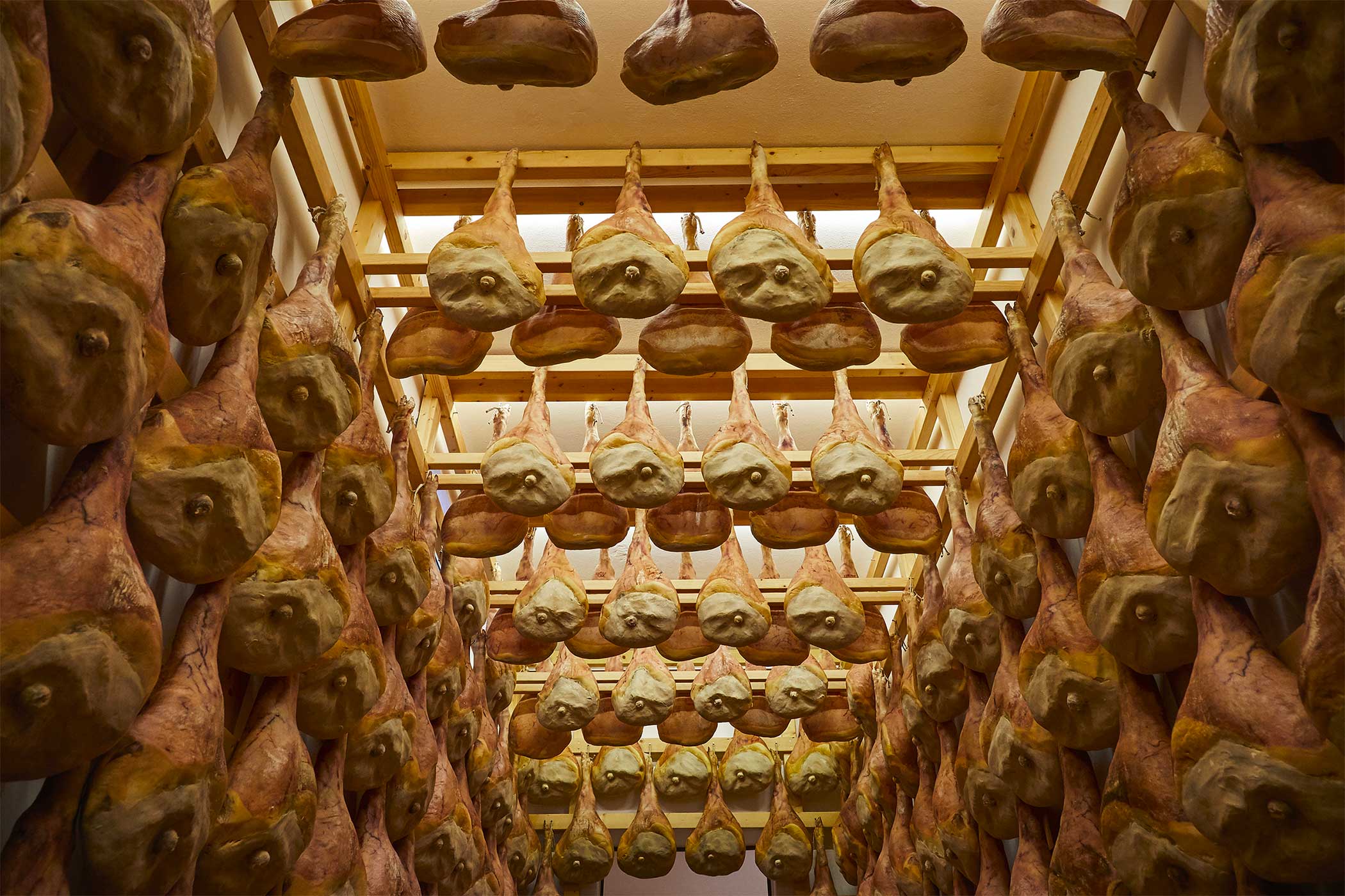 Salone di stagionatura del Prosciutto di San Daniele