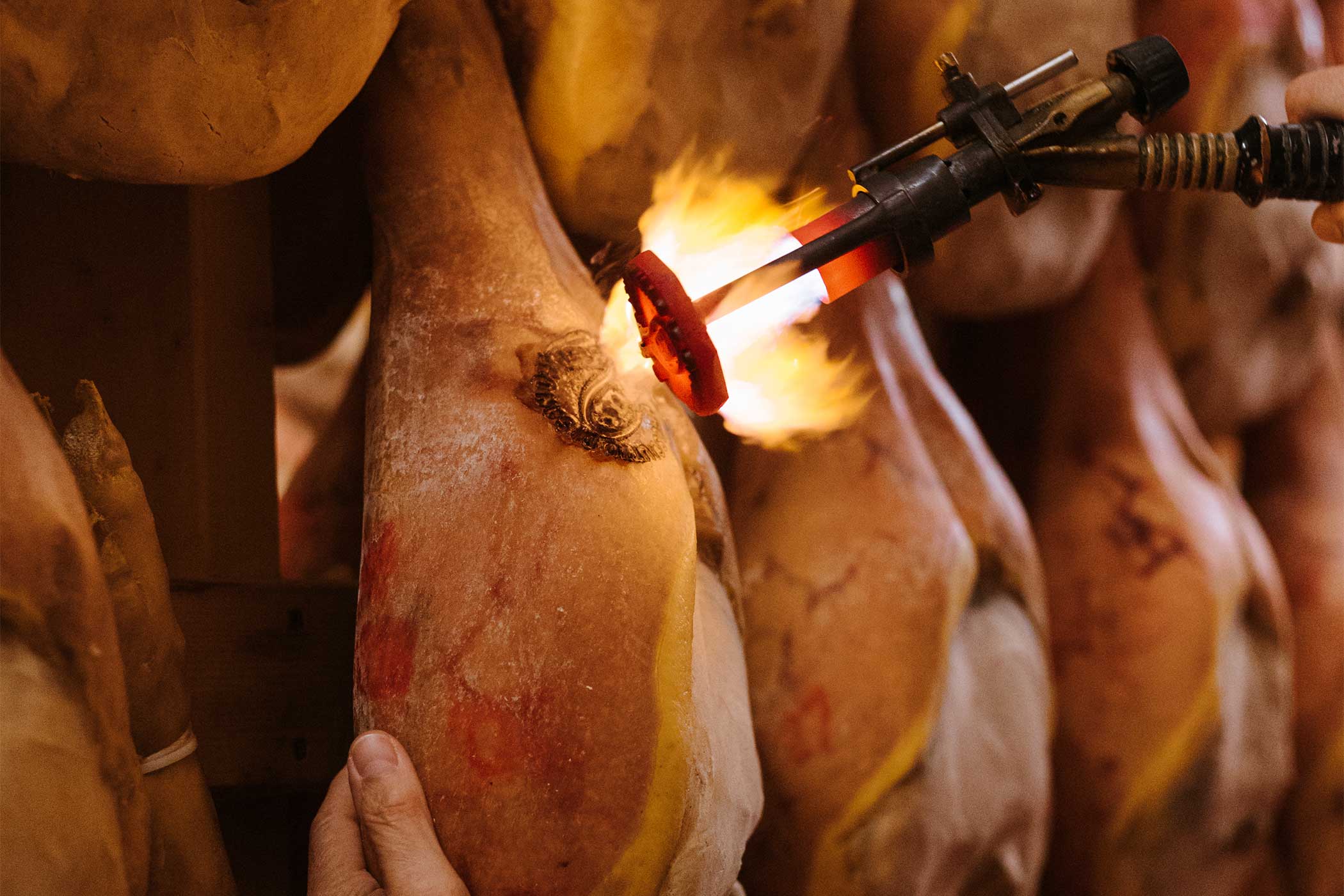 tracciabilità Prosciutto di San Daniele