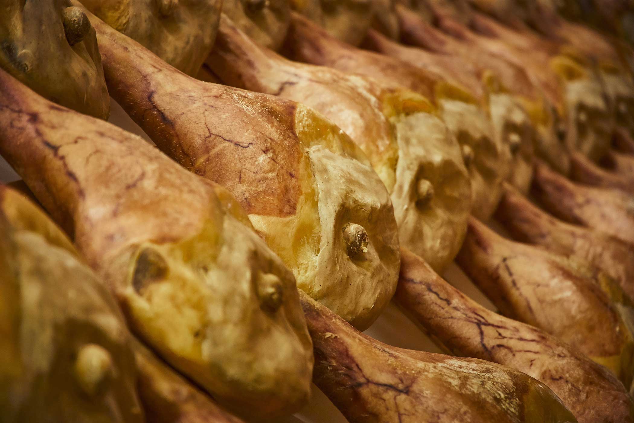 I suini del Prosciutto di San Daniele