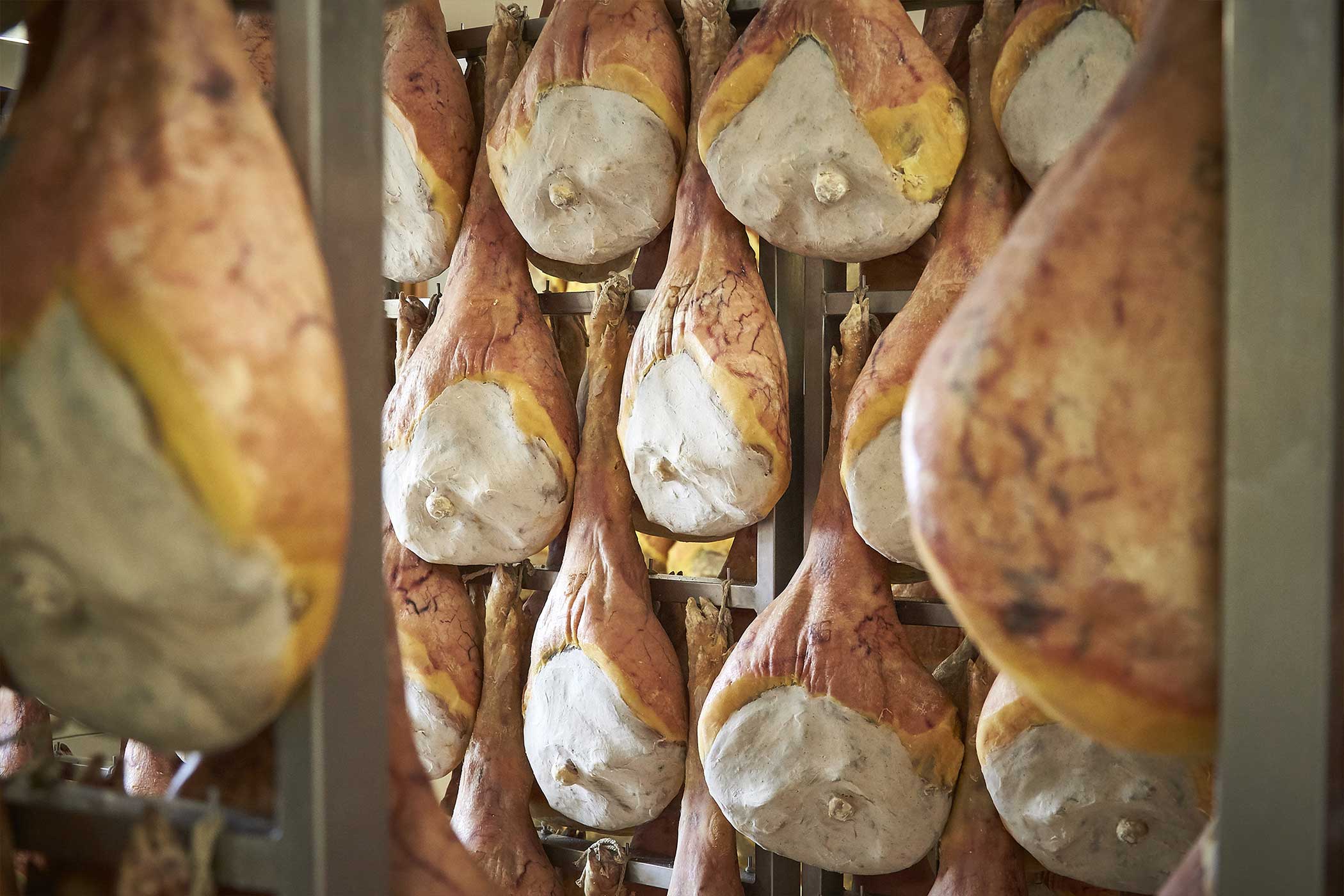Gli ingredienti (materie prime) del Prosciutto di San Daniele