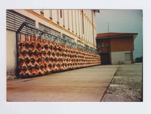 erremoto del Friuli 1976, la rinascita del territorio: prosciutti di San Daniele in stagionatura all'aperto nell'agosto 1980