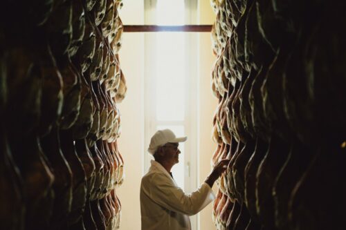 Mastro prosciuttaio controlla le cosce nella sala di stagionatura del Prosciutto di San Daniele DOP