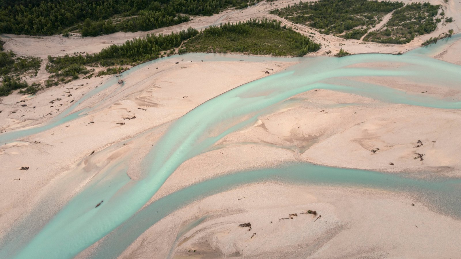 Dettaglio aereo dei canali intrecciati del fiume Tagliamento tra i banchi di ghiaia, morfologia tipica dell'ultimo fiume alpino selvaggio d'Europa