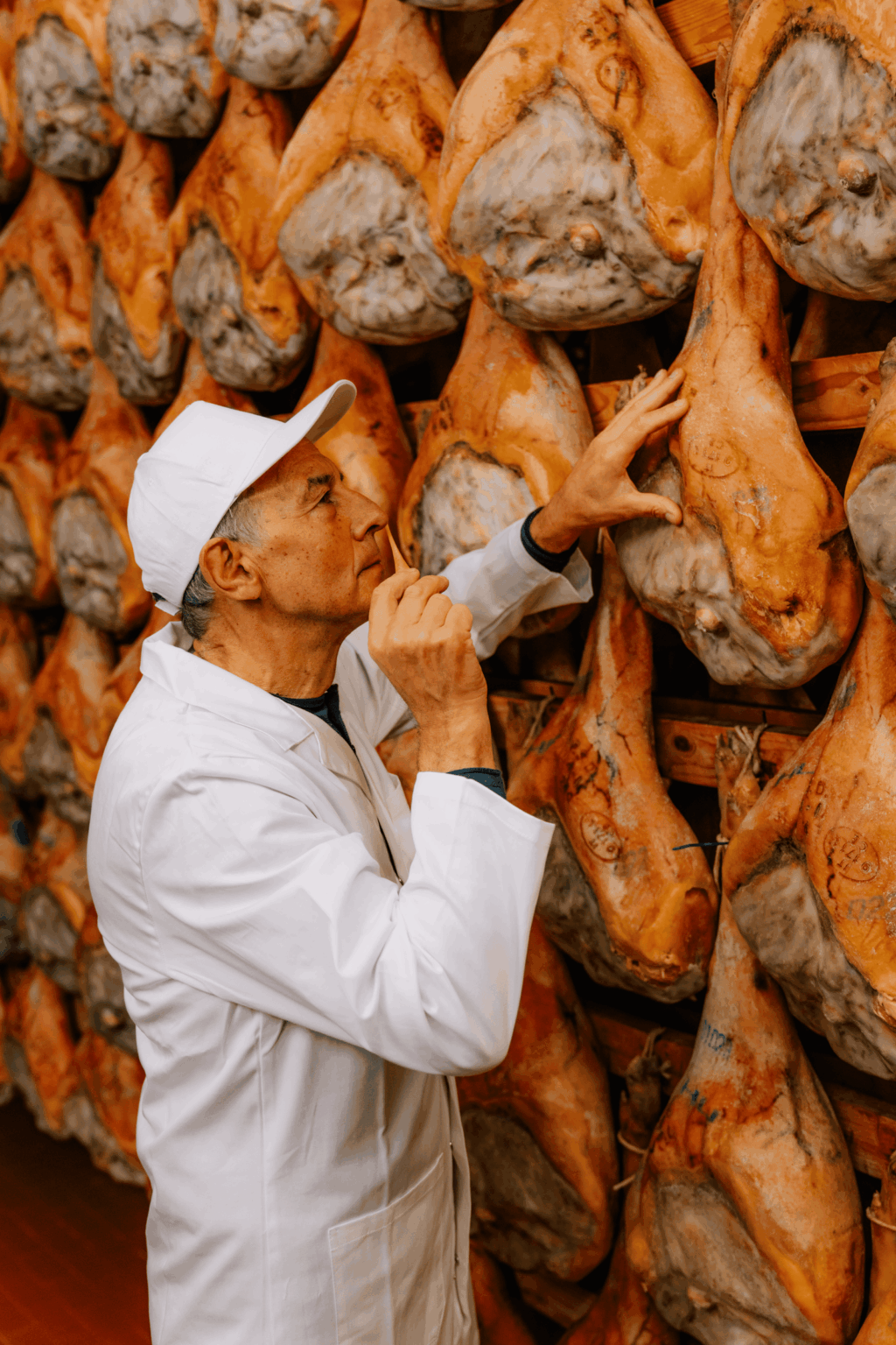 Operatore del Consorzio ispeziona una coscia di Prosciutto di San Daniele DOP con la puntatura, gesto della tracciabilità di filiera